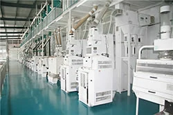 150 tpd  rice mill plant machinery output 150 tons per day